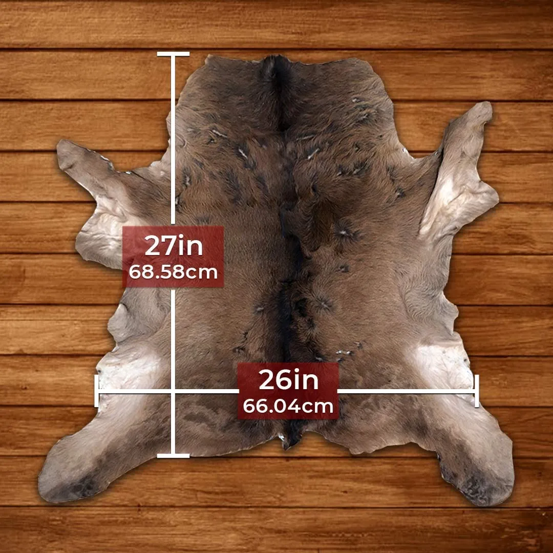 Charlie London Calf Skin Hair on Hide 100% Pure Cow Hide Decorative/Carpet/Rug/Wall Leather - Brown, Black and white Colour (206-105)