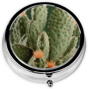 Green Cactus Pill Box Round Pill Case for Pocket Purse 3 Compartment Medicine Pill Organizer Cute Portable Travel Pillbox Vitamin Cod Liver Oil Storage Box Unique Gift Organizer